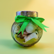 HỘP ĐIỀU ƯỚC LỚN