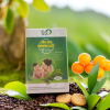 TINH DẦU KHUYNH DIỆP MỆ ĐOAN