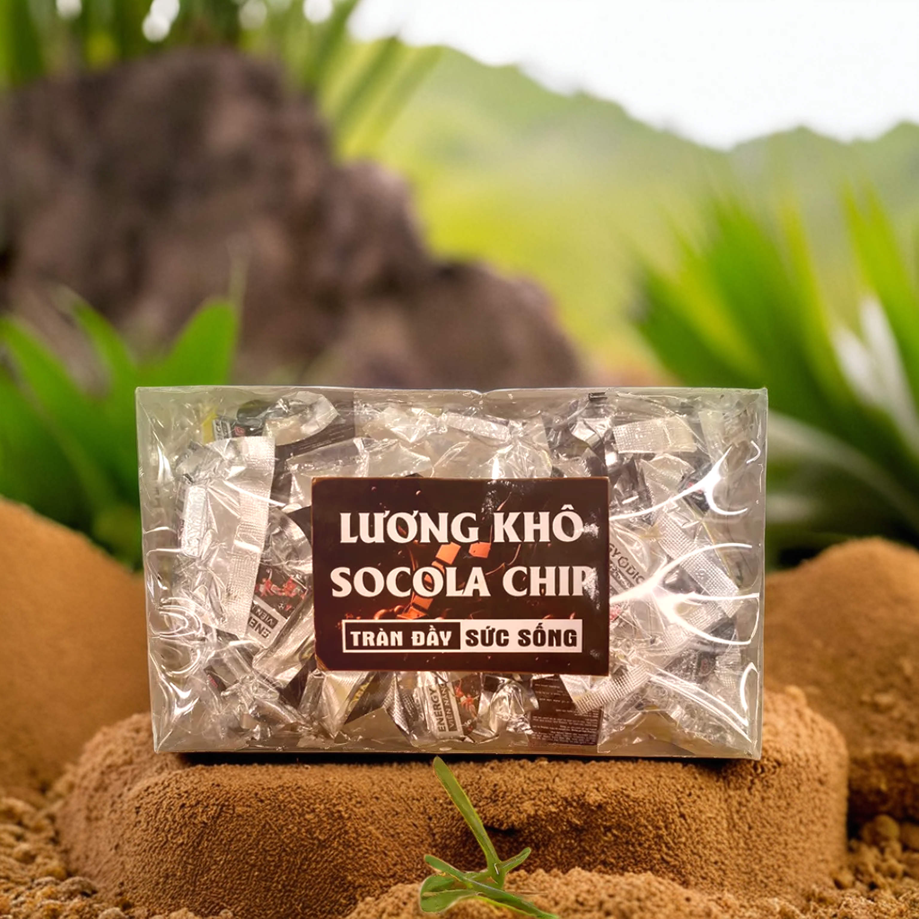 luong khô socola chip 140